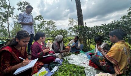 শ্রীমঙ্গলে ইউনেস্কোর পাঁচদিনব্যাপী কর্মশালা