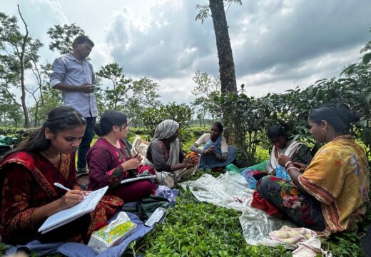 শ্রীমঙ্গলে ইউনেস্কোর পাঁচদিনব্যাপী কর্মশালা