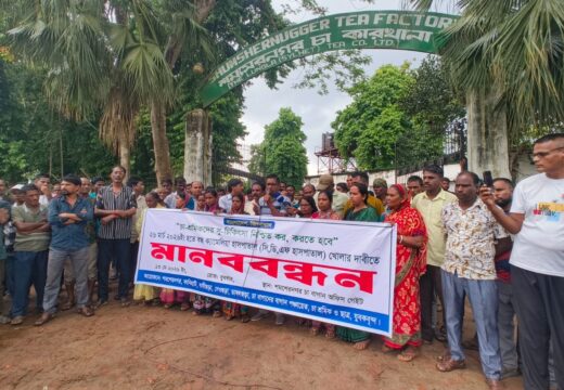 কমলগঞ্জে ক্যামেলিয়া হাসপাতাল চালুর দাবিতে চা শ্রমিকদের মানববন্ধন